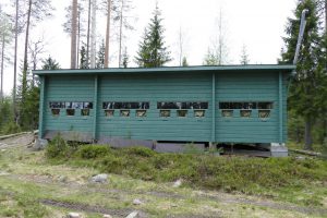 Large bear hides located in the pine forest.