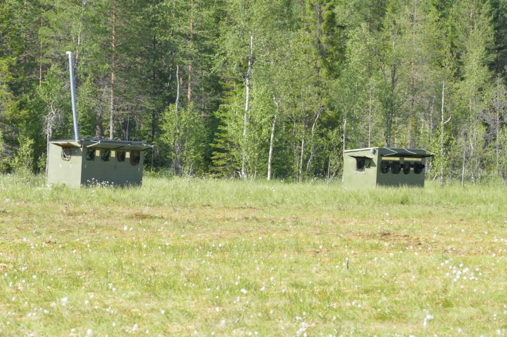 Swamp hides of Martinselkonen.